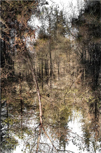 MANUEL HEYER / FOTOGRAFIE